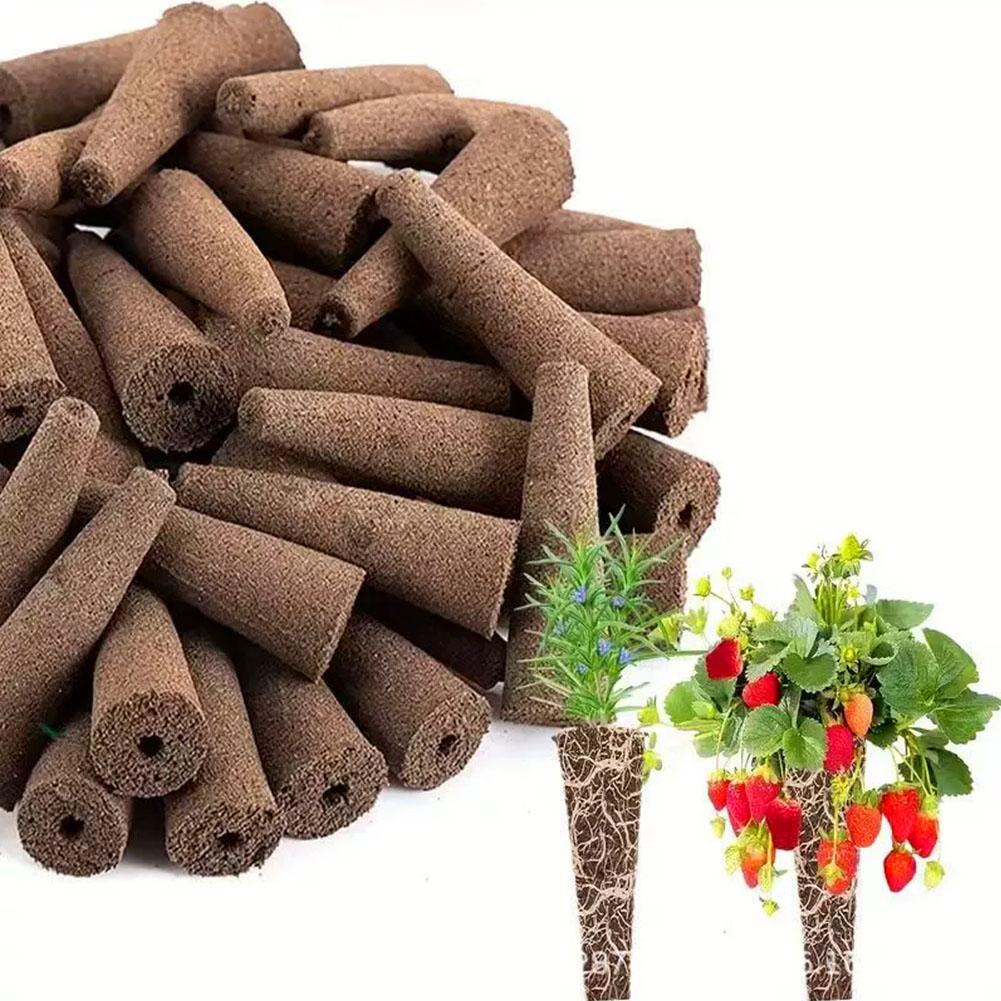 50 szt. Gąbki do sadzenia nasi – Aerogarden Seed Pod recenzja i cena