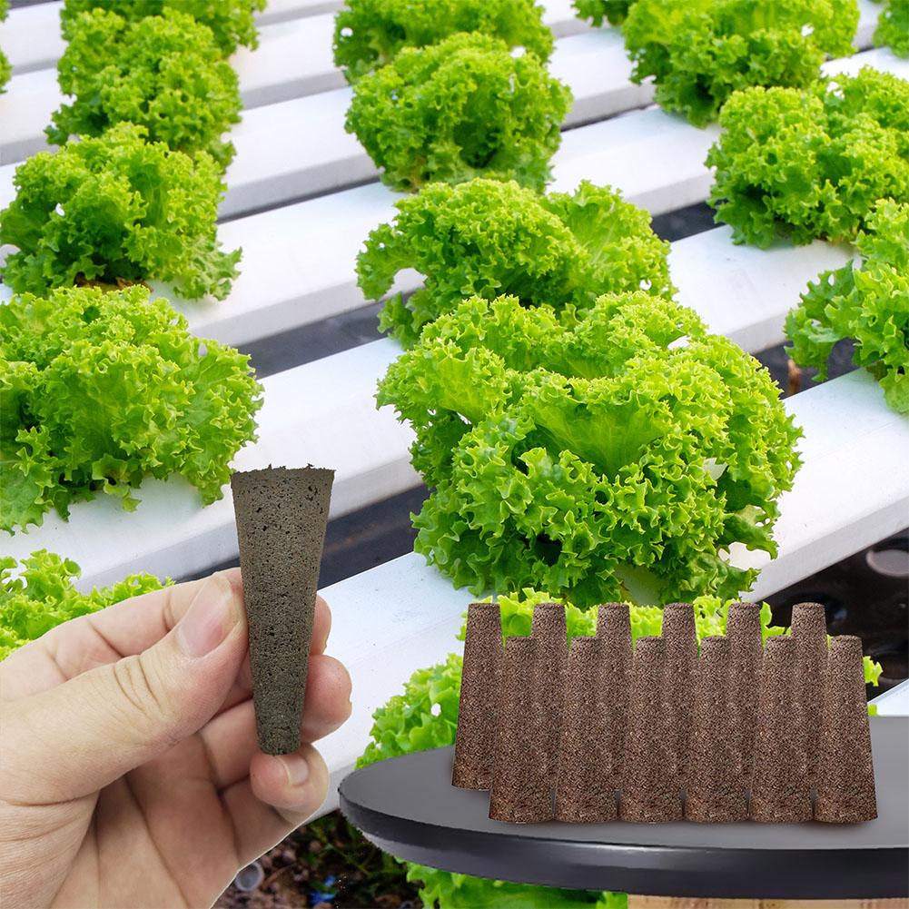 50 szt. Gąbki do sadzenia nasi – Aerogarden Seed Pod recenzja i cena