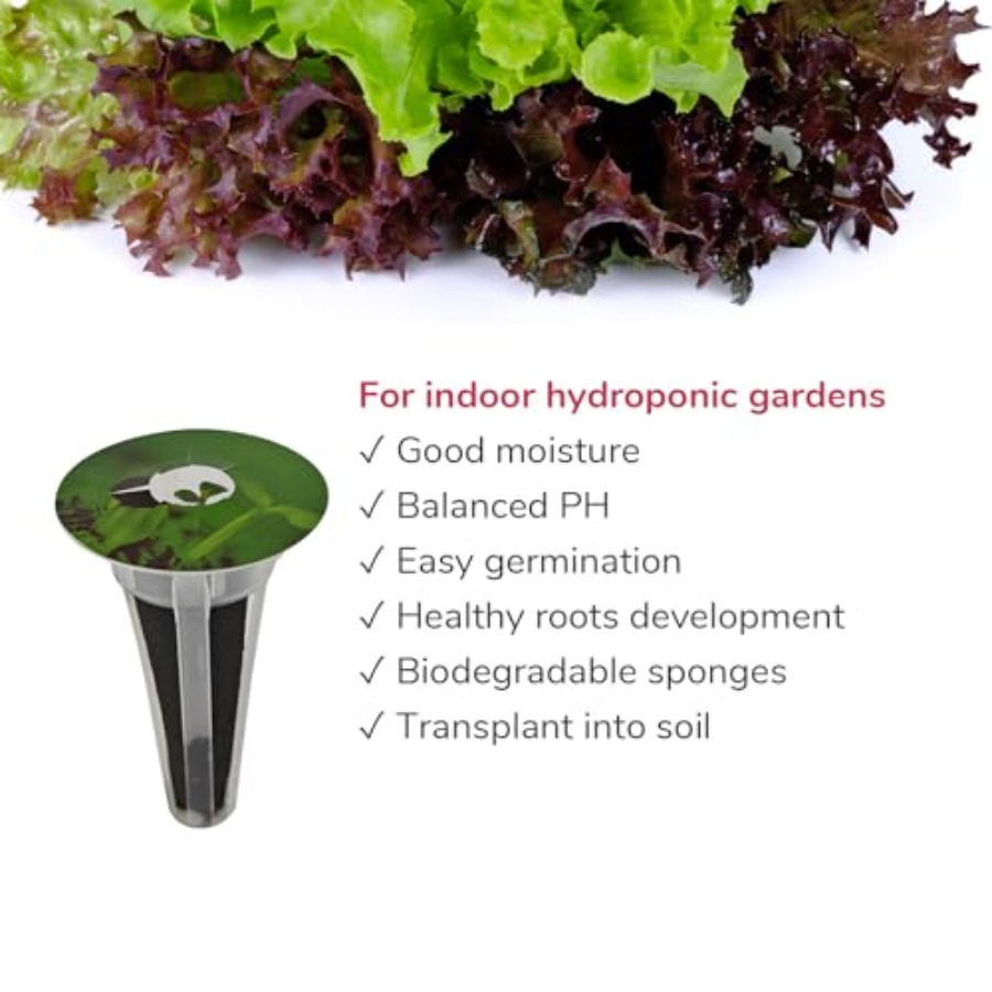 Zestaw 20 sadzonek sałaty ziel – Aerogarden Seed Pod recenzja i cena