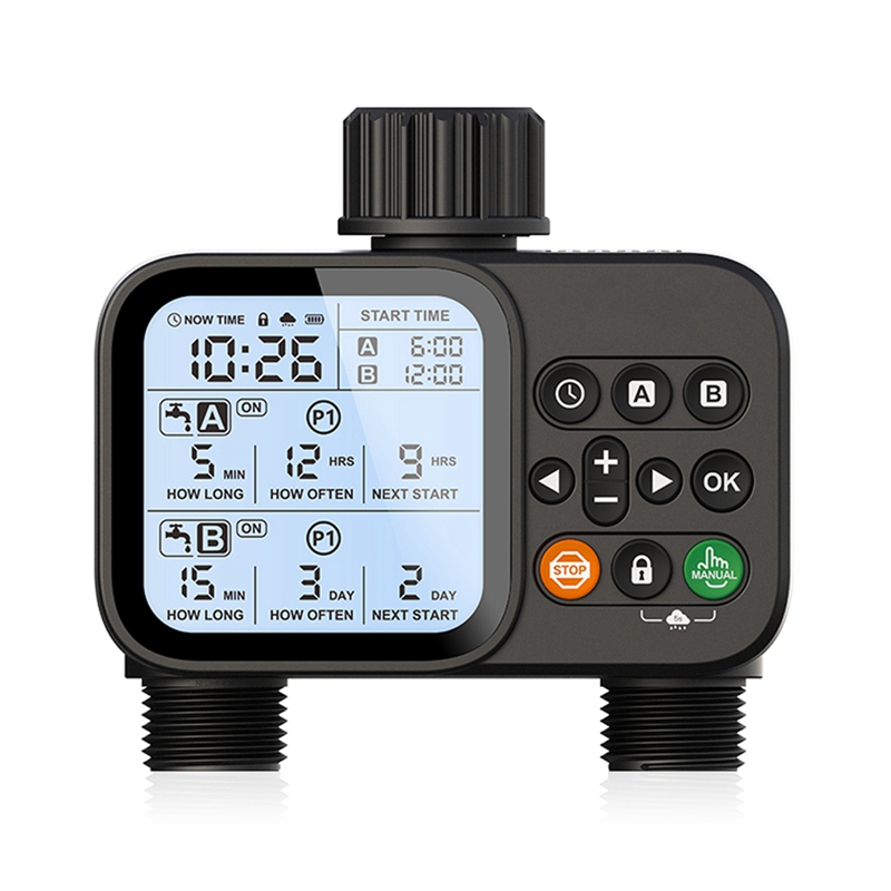 BAAY Domowy solarny timer nawa – Smart Garden Sphagnum Moss recenzja i cena